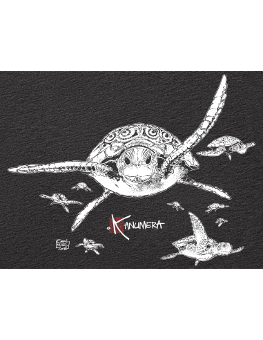 T-shirt Fluide à manches roulottées Les Tortues