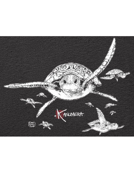 T-shirt Fluide à manches roulottées Les Tortues