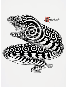 Organic moray eel t-shirt 2