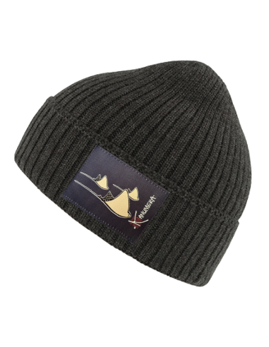 Rays winter Beanie