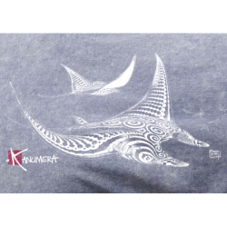 T-shirt délavé Les Raies Tatoos