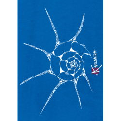 Shell Ladies’ organic cotton crew neck T-shirt