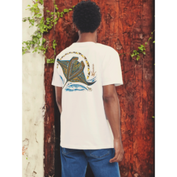 Manta rays Adult T-shirt
