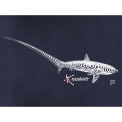 Thresher Shark  Ladies T-shirt