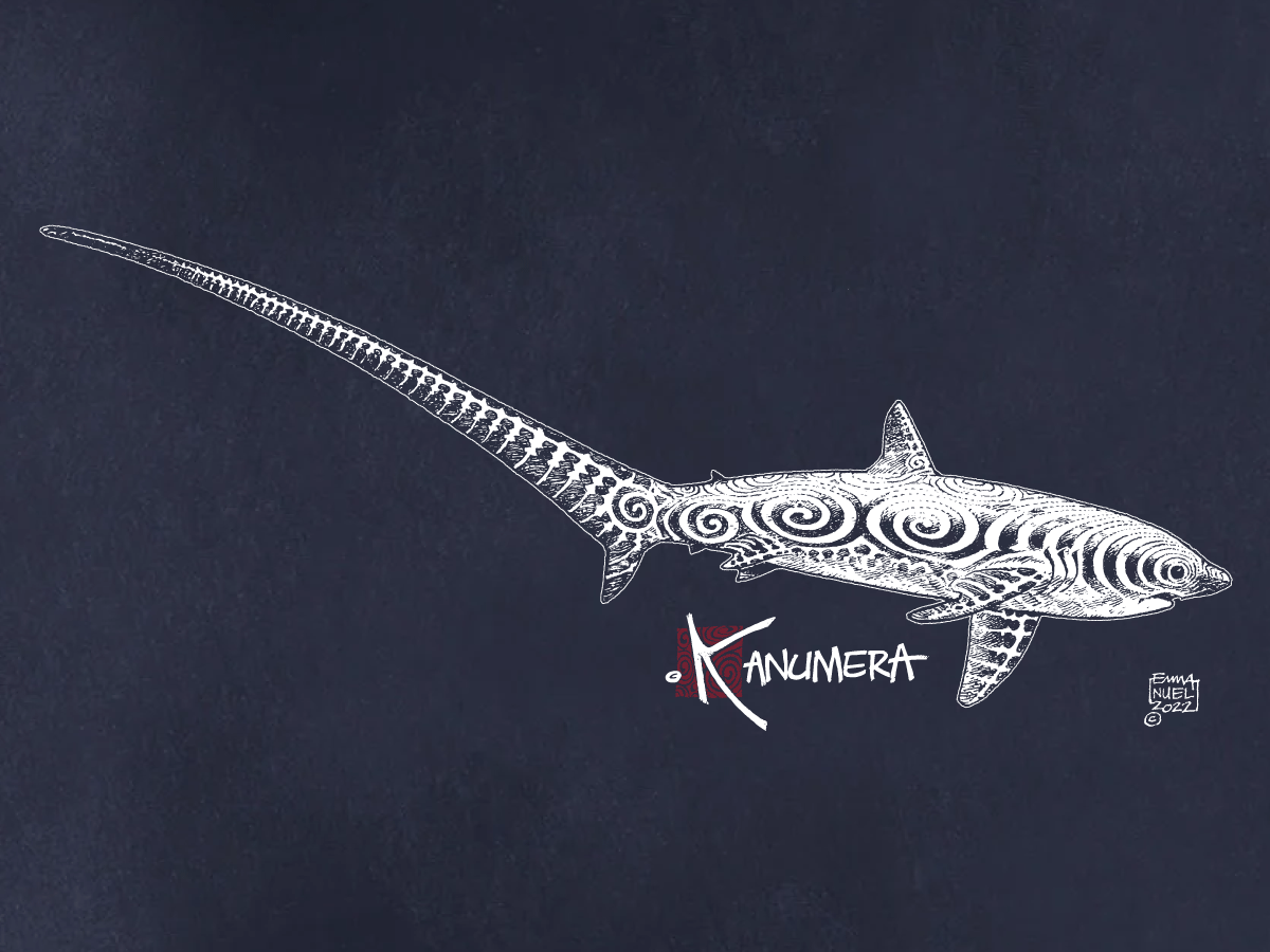 Thresher Shark  Ladies T-shirt