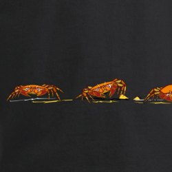 T-shirt Origine Le Haka des Crabes
